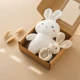 Bunny set