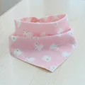 pink rabbit