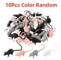 10Pcs Color Random