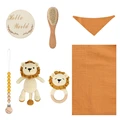 lion set B