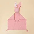 rabbit C3