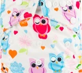 owl