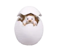 hedgehog egg house