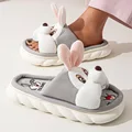 Gray rabbit