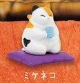 calico cat