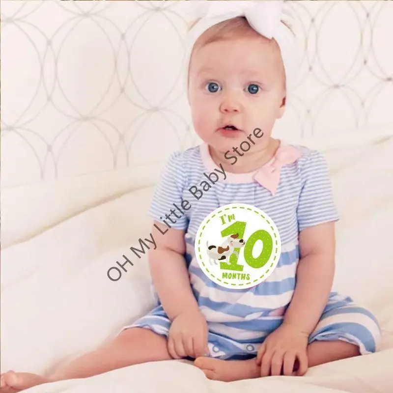 Pegatizas mes M76C para baby boy girl animales estampado impresión 12 tarjetas coloridas unisex