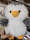Little Penguin 20cm