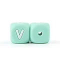 V-10pcs
