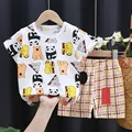 K066-tree bear