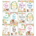 monthly card-11-12pc
