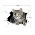 B cat 1PCS