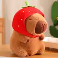 Strawberry-22CM High