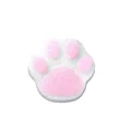 cat paw