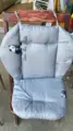 gray panda