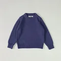 22088-purple
