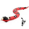 snake
