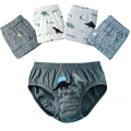 5Pcs Briefs Dinos 2