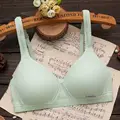 WX3160green