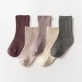 Purple grey