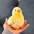 Yellow Chicken