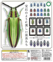 IKIMON imanes de insectos para caja sorpresa estilo alemán mini