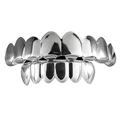 Silver  Set  