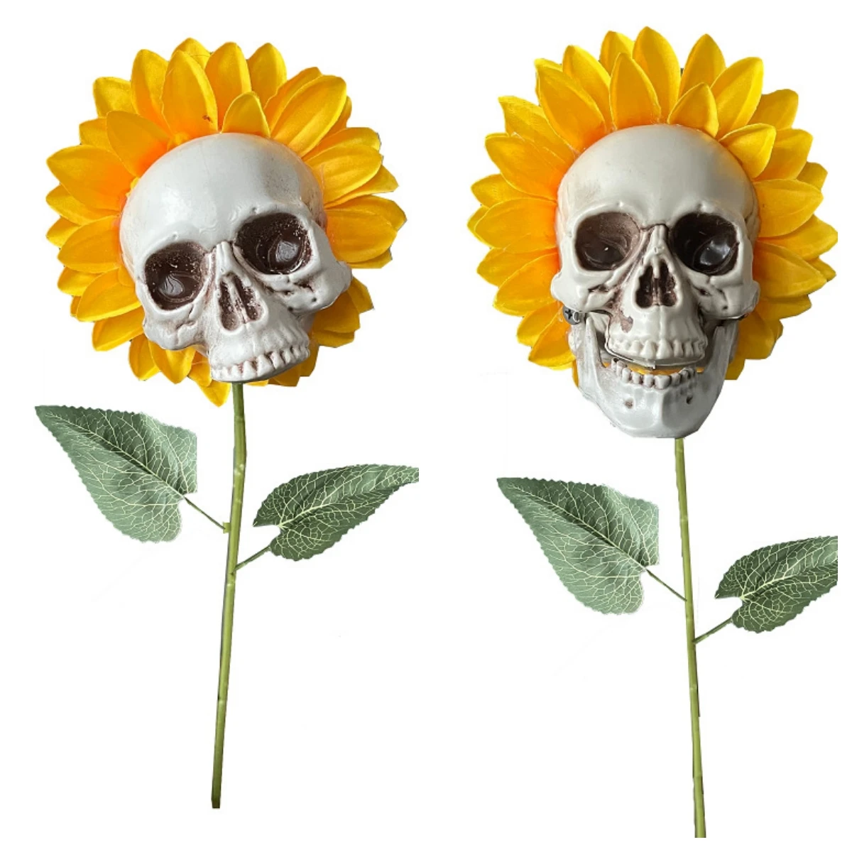 OneHeadRandom