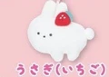 white rabbit