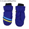 6-12Y-Royal