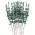 12PCS Green
