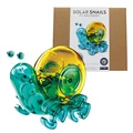 snail