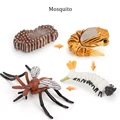 Mosquito