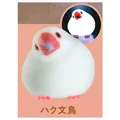 Haku Java Sparrow