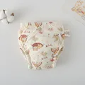 Little fox