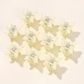 3875-29x30pcs