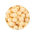 30pcs Beige