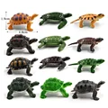 12 pcs turtle-a