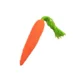 Radish