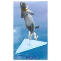 gray cat jump
