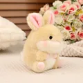 rabbit-2