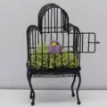 Negro