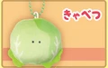 cabbage