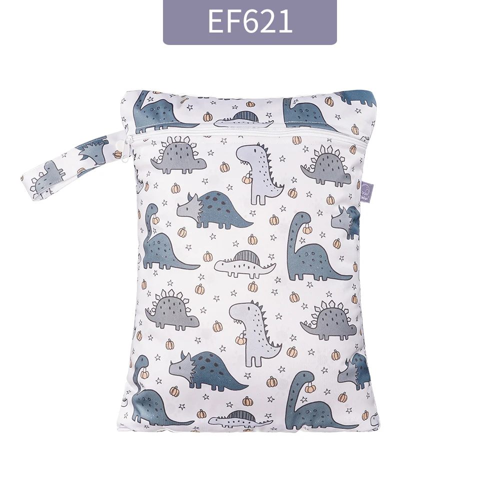 ES077-EF621