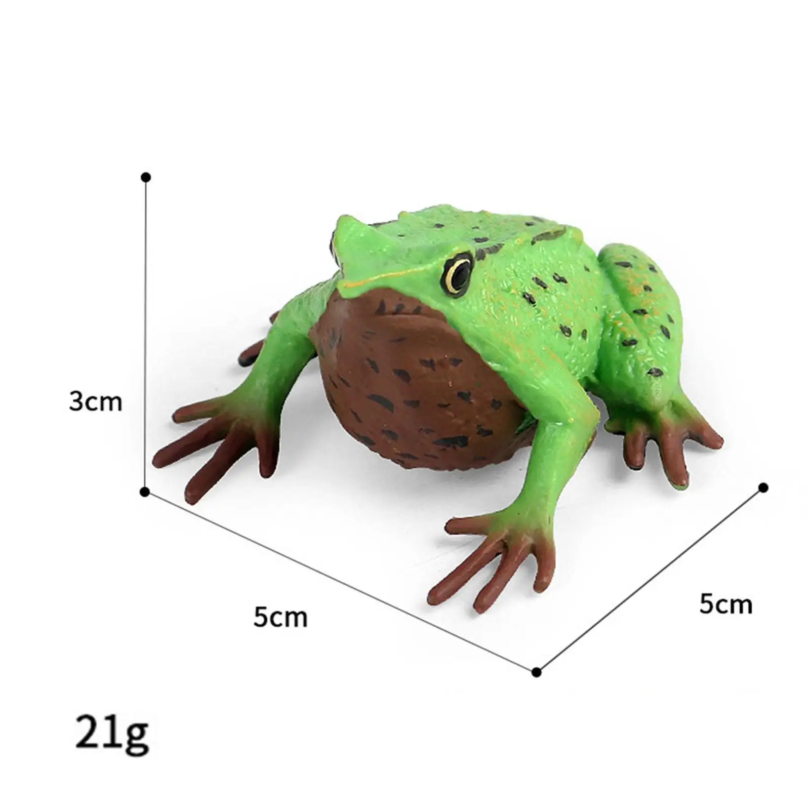 Frog Figurine Science Animals Learning Animal Model Toy for Teaching Aids Micro Landscape Photo Props DIY Landscaping Bath Toys