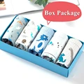 Dinosaur 4-BOX