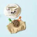 cookies hat set