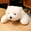 white bear