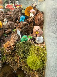 Imagen de reseña 2