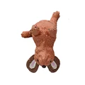 Dachshund