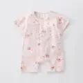 Pink Rabbit